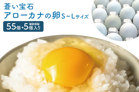 はっこう卵 アローカナ S~L サイズ 55個+破卵保障5個 卵 サイズ