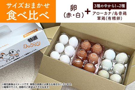 訳あり はっこう卵 3～4種 おまかせ 食べ比べ 15個 + 破卵保障3個 卵 種類 サイズ おまかせ 訳アリ 3種 4種 白卵 赤卵 青卵 烏骨鶏  有精卵 軍鶏 アローカナ たまご タマゴ 食比べ 生卵 味卵 煮卵 目玉焼き ゆで卵 キッシュ 沖縄