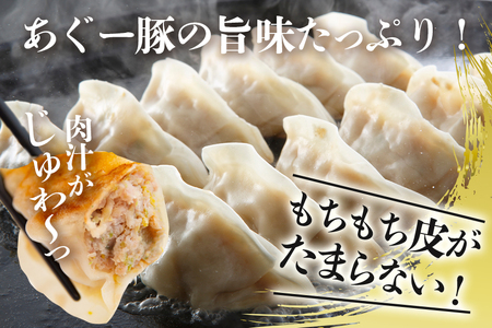 【80個】美ら島あぐー餃子（20個入×4パック）10000円