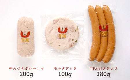 自家製ハム・ソーセージ専門店TESIO「手始めTESIO」セット（合計480g） 牛肉 豚肉 専門店 自家製 ドイツ製法 ソーセージ ウィンナー ウインナー ボローニャ モルタデッラ ハム お試し グルメ 朝食 おつまみ 手作り 食べ比べ 詰め合わせ 国産 沖縄県