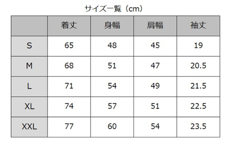 琉球ゴールデンキングス　KINGS マストハブドライTシャツ（Mサイズ） メンズ レディース 男女兼用 半袖 スポーツ ドライ バスケ バスケットボール トレーニング ランニング 運動 ジム ウェア ウエア tシャツ キングス 人気 おすすめ 沖縄県 沖縄