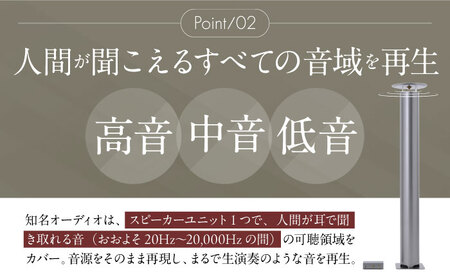 【サウンドの極】知名オーディオ TINA AUDIO 2.0 HIGH CLASS スピーカー＆アンプセット スピーカー サウンドバー 高音質 おすすめ おしゃれ 沖縄市 / 有限会社知名御多出横 アンプ シンプル オーディオ [BCAB004]