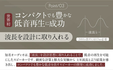 【サウンドの極】知名オーディオ TINA AUDIO 2.0 HIGH CLASS スピーカー＆アンプセット スピーカー サウンドバー 高音質 おすすめ おしゃれ 沖縄市 / 有限会社知名御多出横 アンプ シンプル オーディオ [BCAB004]