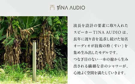 知名オーディオ TINA AUDIO 商品券 （10000円分） 商品券 券 商品 チケット ギフト 沖縄市 / 有限会社知名御多出横 おすすめ 日本生産 国内生産 沖縄 沖縄県産 高級 [BCAB005]