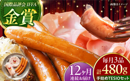 【全12回定期便】TESIOの自家製 ハム & ソーセージ 『手始めTESIOセット』 BCAD009