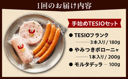 【全12回定期便】TESIOの自家製 ハム & ソーセージ 『手始めTESIOセット』 BCAD009