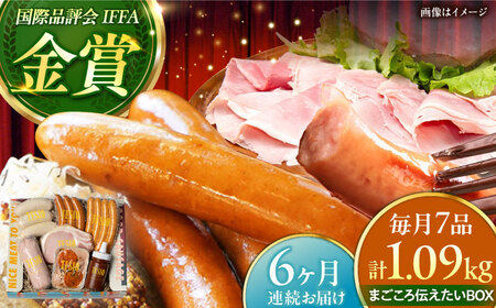 【全6回定期便】TESIOの自家製 ハム & ソーセージ 『まごころ伝えたいBOX』 BCAD014