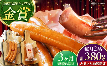 ハム ソーセージ 【全3回定期便】【ふるさと納税限定】TESIOの自家製 フランク ＆ ボローニャ セット (計380g)  BCAD016