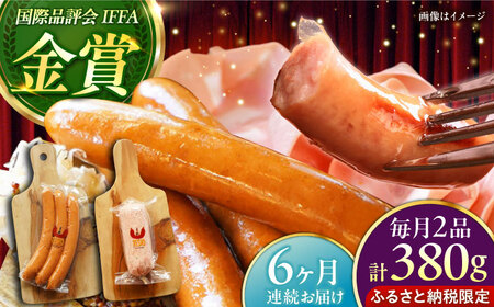 ハム ソーセージ 【全6回定期便】【ふるさと納税限定】TESIOの自家製フランク & ボローニャ セット (計380g) BCAD017