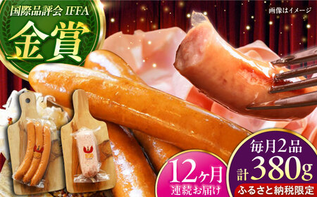 ハム ソーセージ 【全12回定期便】【ふるさと納税限定】TESIOの自家製フランク & ボローニャ セット (計380g) BCAD018