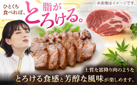 豚肩ロース 沖縄県産豚肉 肩ロースブロック 約1.8kg (900g×2P)  BCAJ006 豚肉▼ ブロック 冷凍配送 年末年始 年末 年越し お正月