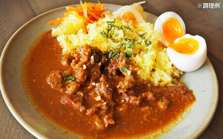 カレー 【腸活カレー】ボーンブロスのスパイスカレー (5袋セット) BCAK012 レトルト