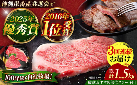 牛肉 ステーキ 【全3回定期便】【厳選！おすすめ部位】沖縄和牛 佐渡山牛 ステーキ肉 500g  BCBC005 牛肉