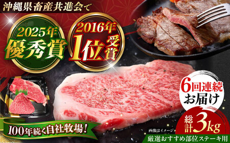 牛肉 ステーキ 【全6回定期便】【厳選！おすすめ部位】沖縄和牛 佐渡山牛 ステーキ肉 500g  BCBC006 牛肉