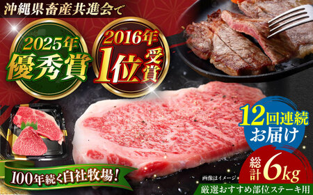 牛肉 ステーキ 【全12回定期便】【厳選！おすすめ部位】沖縄和牛 佐渡山牛 ステーキ肉 500g  BCBC007 牛肉