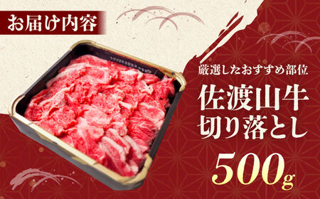 牛肉 焼肉 【全6回定期便】【厳選！おすすめ部位】沖縄和牛 佐渡山牛 切り落とし 500g  BCBC009 牛肉