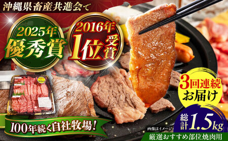牛肉 焼肉 【全3回定期便】【厳選！おすすめ部位】沖縄和牛 佐渡山牛 焼肉用 500g  BCBC011 牛肉