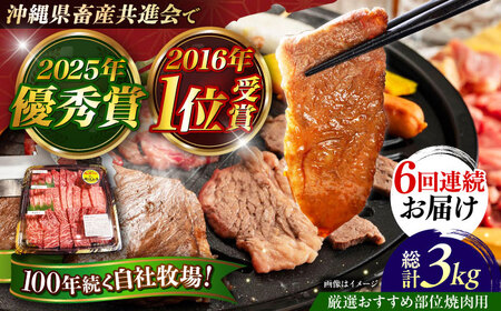 牛肉 焼肉 【全6回定期便】【厳選！おすすめ部位】沖縄和牛 佐渡山牛 焼肉用 500g  BCBC012 牛肉