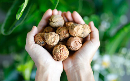 美容オイル Natural Essence TAMANU 沖縄県産タマヌオイル 100% Pure Oil 30ml (約90日分)  BCBJ002 化粧品