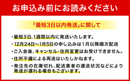 オリオンビール オリオン 麦職人 500ml×24缶 (6缶パック×4) BCDD008▼ 500ml 24本(1ケース) 年末年始 年末 年越し お正月