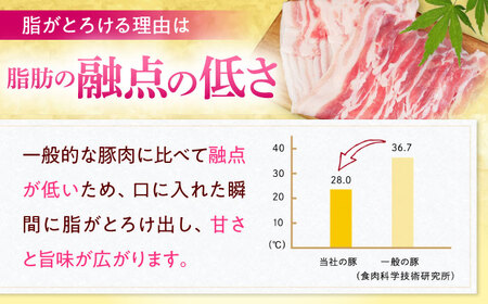 豚肉 焼肉 沖縄県産豚肉 くいまーる豚 焼肉セット (ロース・バラ) 計2.4kg (200g×各6P)  BCAJ002 ▼ 焼肉用 冷凍配送 年末年始 年末 年越し お正月