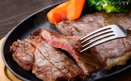 ハンバーグ 沖縄県産 石垣牛 ハンバーグ・ステーキセット 計600g  BCAZ005 肉▼ 加工品 ハンバーグ 冷凍配送 年末年始 年末 年越し お正月