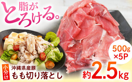 切り落とし 沖縄県産豚肉 もも切り落とし 約2.5kg (500g×5P)  BCAJ013 豚肉▼ 切り落とし 冷凍配送 年末年始 年末 年越し お正月