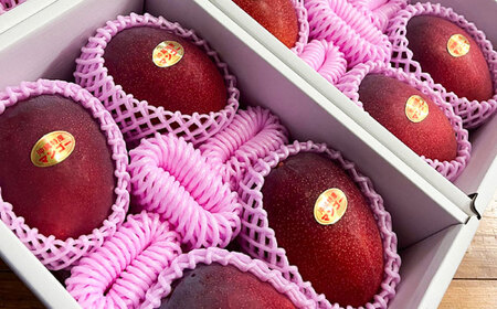 沖縄 マンゴー 【優秀賞受賞】完熟 贈答用 1kg (2-3玉) BCAN001 