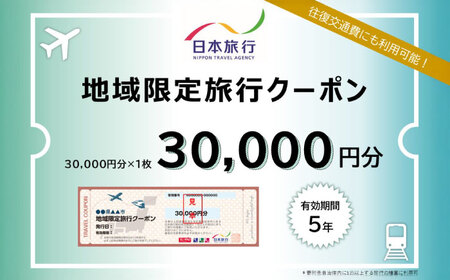 沖縄旅行 沖縄県沖縄市 日本旅行 地域限定旅行クーポン 3万円分  BCAC002 クーポン