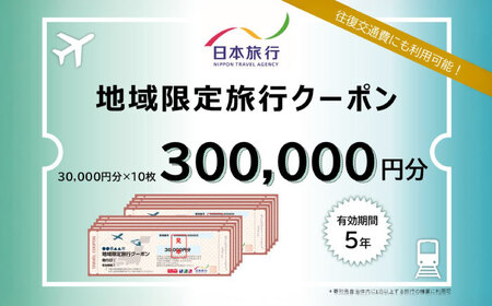 沖縄旅行 沖縄県沖縄市 日本旅行 地域限定旅行クーポン 30万円分  BCAC006 クーポン