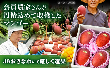 【2026年発送 先行予約】 完熟マンゴー 約2kg (4?6玉) 贈答用 / 化粧箱入り BCAA004