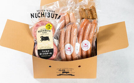 ステーキ ソーセージ 『NUCHIBUTA Bセット』 豚肉 ポークステーキ ソーセージ 詰め合わせ  BCAR004 豚肉