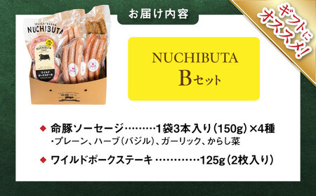 ステーキ ソーセージ 『NUCHIBUTA Bセット』 豚肉 ポークステーキ ソーセージ 詰め合わせ  BCAR004 豚肉