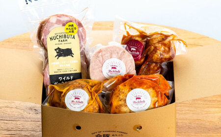 ステーキ ハンバーグ  『お手軽セット』 豚肉 ポークステーキ ハンバーグ 詰め合わせ  BCAR006 