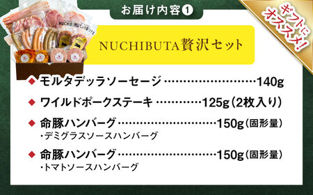 『NUCHIBUTA 贅沢セット』 豚肉 ハンバーグ ソーセージ ハム 詰め合わせ BCAR008 豚肉