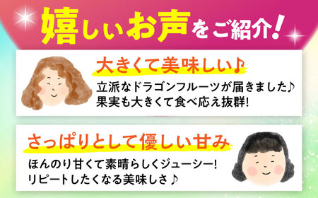 ドラゴンフルーツ 2.5kg 完熟直送♪ 赤 沖縄ドラゴンフルーツ