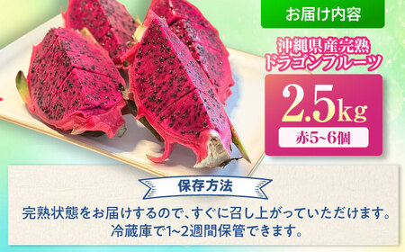 ドラゴンフルーツ 2.5kg 完熟直送♪ 赤 沖縄ドラゴンフルーツ