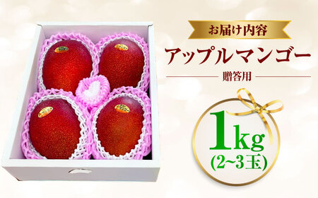 フルーツ 【2026年発送 先行予約】 贈答用 仲村農園の完熟アップル マンゴー1kg  BCCU002