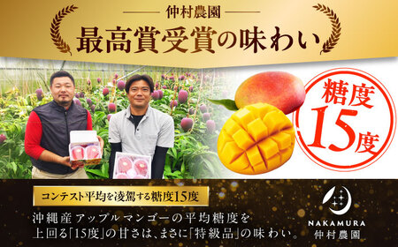 完熟アップルマンゴー 【2026年発送】 訳あり 2kg  BCCU003