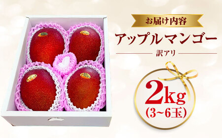 完熟アップルマンゴー 【2026年発送】 訳あり 2kg  BCCU003