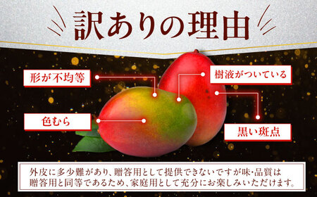 マンゴー【2026年発送】仲村農園マンゴー 訳あり1kg