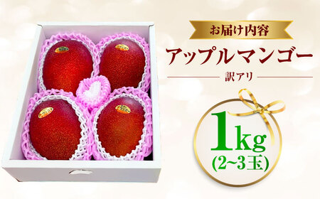 マンゴー【2026年発送】仲村農園マンゴー 訳あり1kg