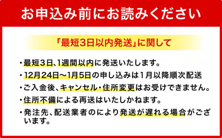 オリオン ザ・ダーク 350ml×24缶 黒ビール BCDD029
