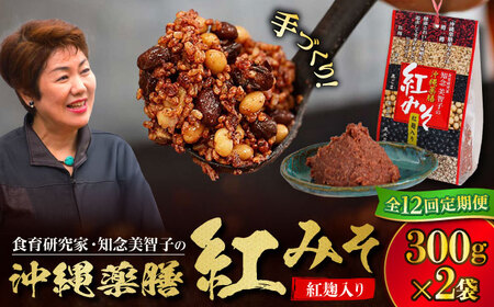 薬膳みそ 【全12回定期便】沖縄薬膳紅みそ 計600g (300g×2個)  BCBU016 味噌