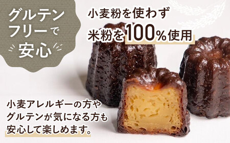 琉球PANAR 米粉カヌレ 5個 スイーツ セット ギフト お菓子 グルテンフリー 沖縄市 / GLUCKS 10000円 BCDY001