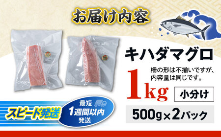 冷凍キハダマグロ 1kg (500g×2パック) マグロ まぐろ 小分け 冷凍 刺身 赤身 沖縄市 / 沖縄市漁業協同組合 パヤオ直売店[BCDZ001]▼ 魚類 お刺身 冷凍配送 年末年始 年末 年越し お正月