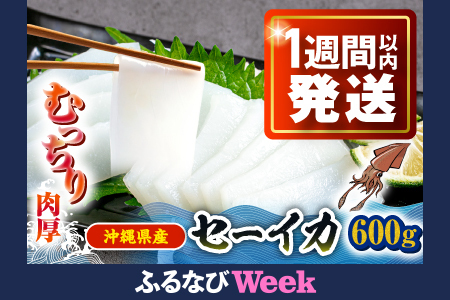 【ふるなびWEEK対象】海鮮 セーイカ (そでいか) 0.6kg (300g ×2パック) BCDZ002-fw