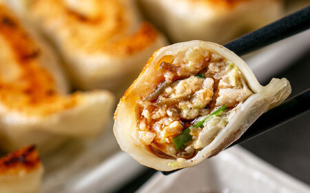 冷凍マグロギョーザ 24個(12個入り2パック)  7000円 BCDZ003