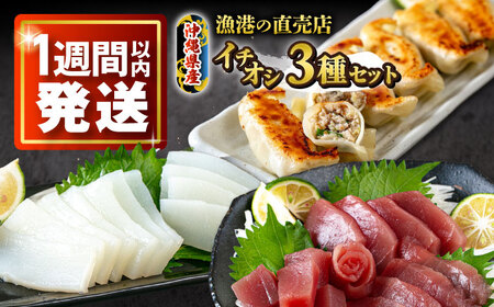 漁港直売店イチオシ3種セット (冷凍キハダマグロ1kg / セーイカ0.6kg / マグロギョーザ24個) [BCDZ004]