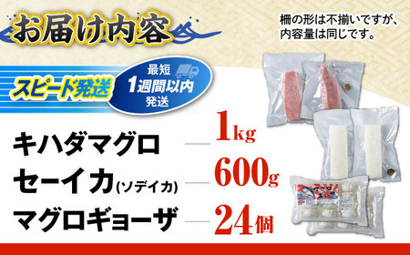 漁港直売店イチオシ3種セット (冷凍キハダマグロ1kg / セーイカ0.6kg / マグロギョーザ24個) [BCDZ004]